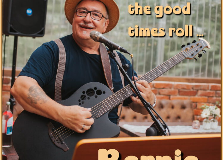 Bernd die Stimme